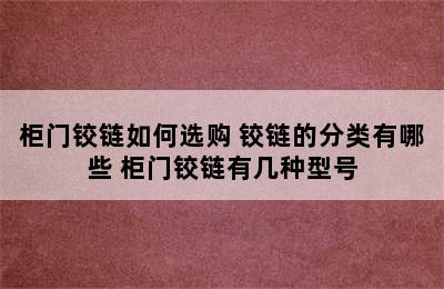 柜门铰链如何选购 铰链的分类有哪些 柜门铰链有几种型号